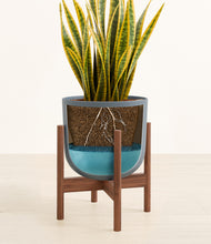 Load image into Gallery viewer, Iron Gray stand:walnut