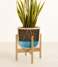 Load image into Gallery viewer, Sandy Pink stand:bamboo