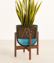 Load image into Gallery viewer, Stone Black stand:walnut