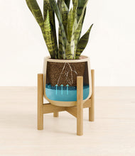 Load image into Gallery viewer, Almond Green stand:bamboo