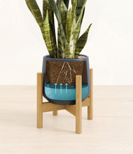 Load image into Gallery viewer, Deep Navy stand:bamboo