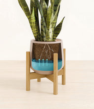 Load image into Gallery viewer, Eternal Gray stand:bamboo