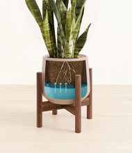 Load image into Gallery viewer, Eternal Gray stand:walnut