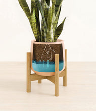 Load image into Gallery viewer, Gentle Pink stand:bamboo