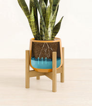 Load image into Gallery viewer, Mustard stand:bamboo