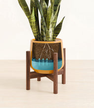 Load image into Gallery viewer, Mustard stand:walnut