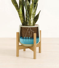 Load image into Gallery viewer, Turquoise stand:bamboo