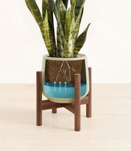 Load image into Gallery viewer, Turquoise stand:walnut