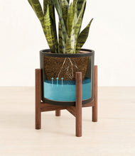 Load image into Gallery viewer, Black stand:walnut