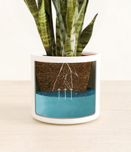 Load image into Gallery viewer, White