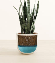 Load image into Gallery viewer, Natural Bamboo