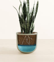 Load image into Gallery viewer, Sage Green