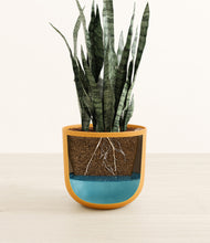 Load image into Gallery viewer, Sunset Orange