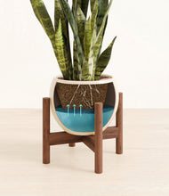 Load image into Gallery viewer, Shiny EggWhite stand:walnut