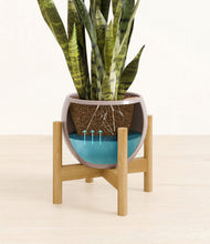 Load image into Gallery viewer, Winter Clouds stand:bamboo