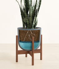 Load image into Gallery viewer, Iron Gray stand:walnut