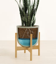 Load image into Gallery viewer, Sage Green stand:bamboo
