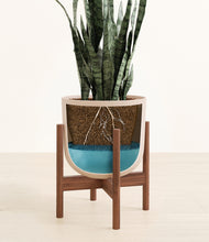 Load image into Gallery viewer, Sandy Pink stand:walnut