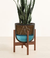 Load image into Gallery viewer, Stone Black stand:walnut