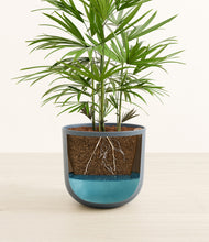 Load image into Gallery viewer, Iron Gray