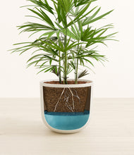 Load image into Gallery viewer, Natural Bamboo