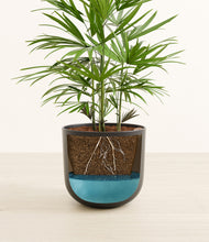 Load image into Gallery viewer, Stone Black