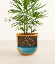 Load image into Gallery viewer, Sunset Orange