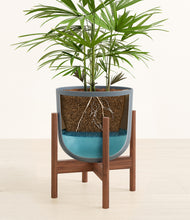 Load image into Gallery viewer, Iron Gray stand:walnut