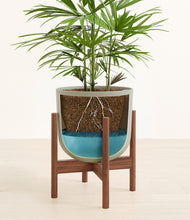 Load image into Gallery viewer, Sage Green stand:walnut