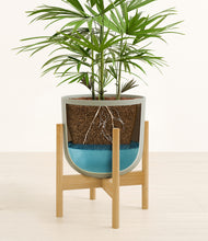 Load image into Gallery viewer, Sage Green stand:bamboo