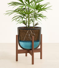 Load image into Gallery viewer, Stone Black stand:walnut