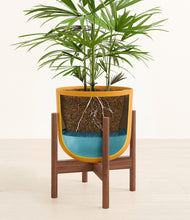 Load image into Gallery viewer, Sunset Orange stand:walnut