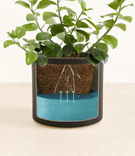 Load image into Gallery viewer, Black stand:all