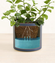 Load image into Gallery viewer, Deep Navy stand:all