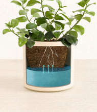 Load image into Gallery viewer, Cream stand:all