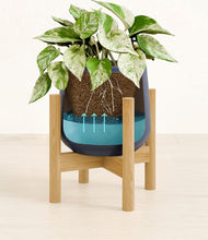 Load image into Gallery viewer, -