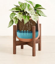 Load image into Gallery viewer, -