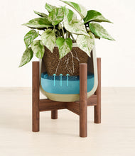 Load image into Gallery viewer, -