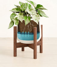 Load image into Gallery viewer, -