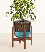 Load image into Gallery viewer, Iron Gray stand:walnut