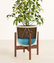 Load image into Gallery viewer, Natural Bamboo stand:walnut