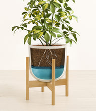 Load image into Gallery viewer, Natural Bamboo stand:bamboo