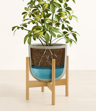 Load image into Gallery viewer, Sage Green stand:bamboo