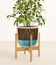 Load image into Gallery viewer, Sandy Pink stand:bamboo