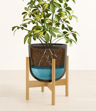 Load image into Gallery viewer, Stone Black stand:bamboo