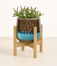 Load image into Gallery viewer, Olive stand:bamboo