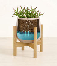 Load image into Gallery viewer, Eternal Gray stand:bamboo