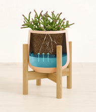 Load image into Gallery viewer, Gentle Pink stand:bamboo