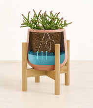 Load image into Gallery viewer, Calm Rose stand:bamboo