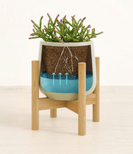 Load image into Gallery viewer, Turquoise stand:bamboo